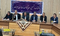 برگزاری جشنواره گردو در ساردوئیه جیرفت با هدف توسعه گردشگری کشاورزی در جنوب کرمان